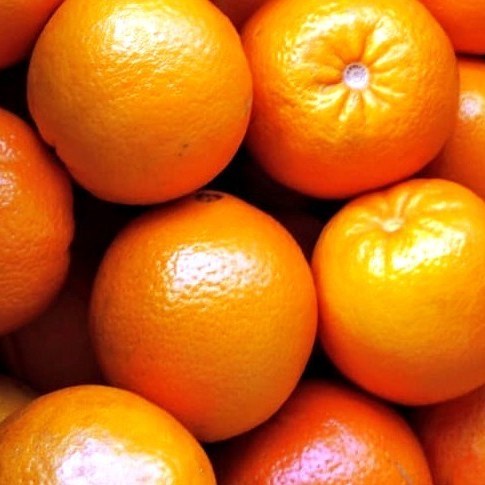 Orange Kumquat Fruchtaufstrich 220g